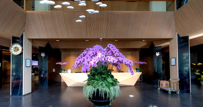 Best Luxury Hotels in California With Modern High-End Design