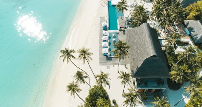Delta Island Paradise Resorts With Oceanfront Pool Villas