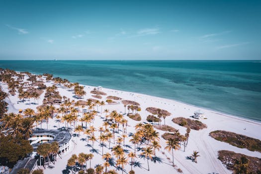 Exclusive Beach Resorts in Miami With Premium Oceanfront Rooms
