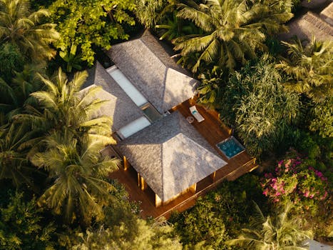 Luxury Resorts With Curated Travel Experiences