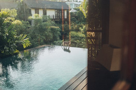 Whisper Bali Jungle Villas Featuring Romantic Infinity Pools